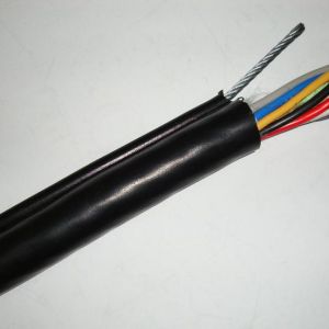 ��α�e���ؙC(j��)��|���|(zh��)���É�