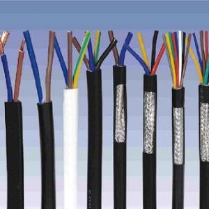 ������|����|���N��е�һ�N��ʲô�ǿ�����|��