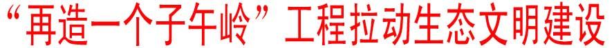“再造一個(gè)子午嶺”工程拉動生態(tài)文明建設(shè)