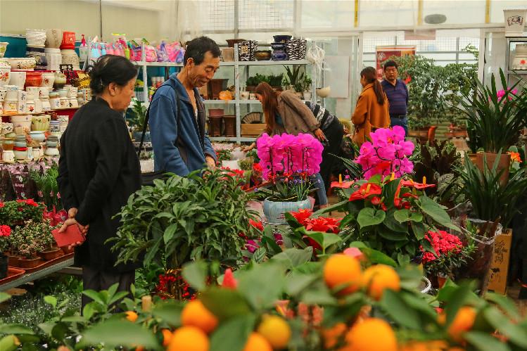 【第一眼】春意濃 花俏俏 你家的春來來了嗎？