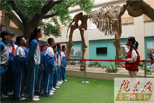 【第一眼】慶陽市博物館開展多項(xiàng)活動(dòng)慶?！?·18國(guó)際博物館日”