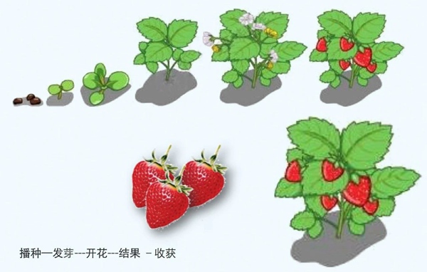 【防疫科普】如何利用園藝療法保持復(fù)工后身心健康？