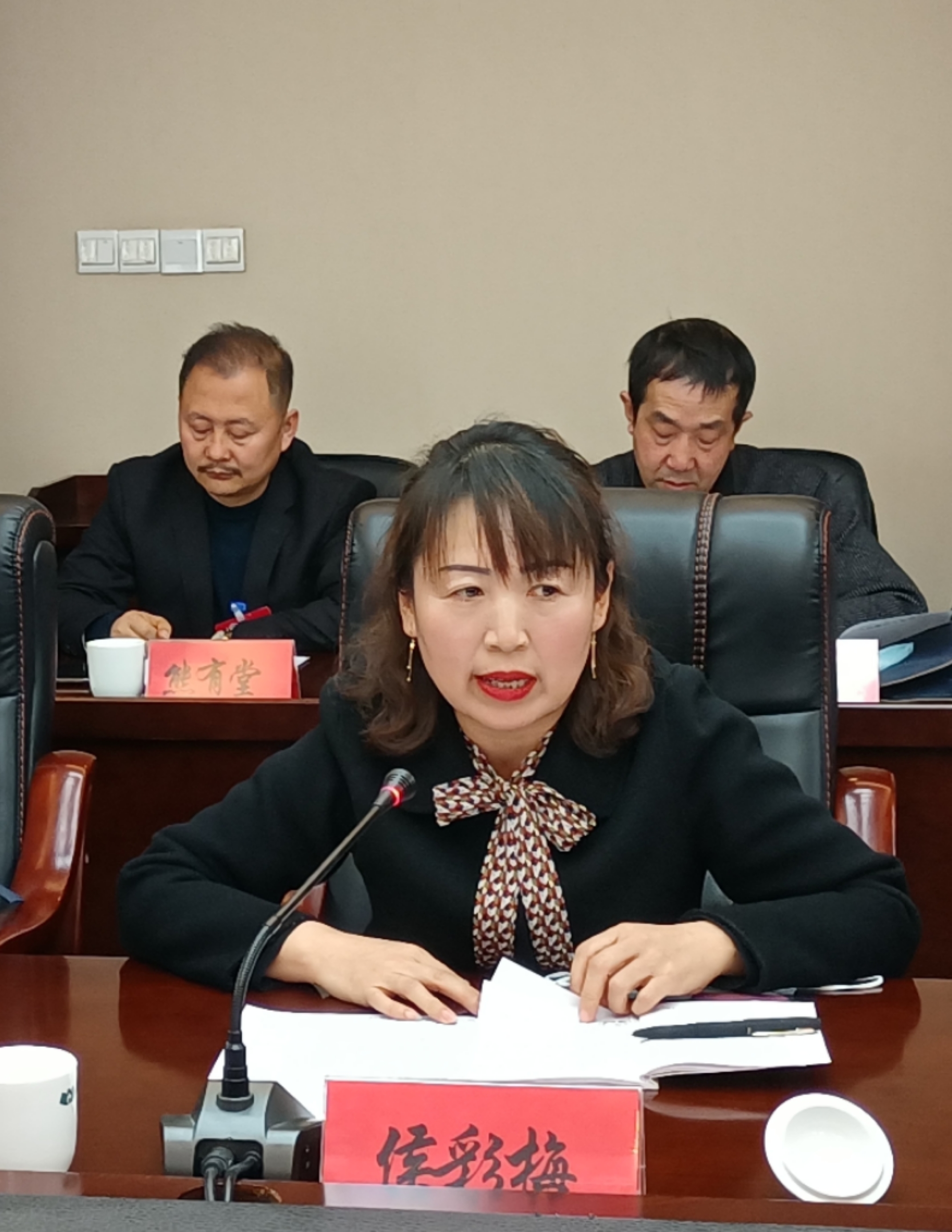 侯彩梅委員在討論發(fā)言時就規(guī)范農村中小學體育教學提出了建議。