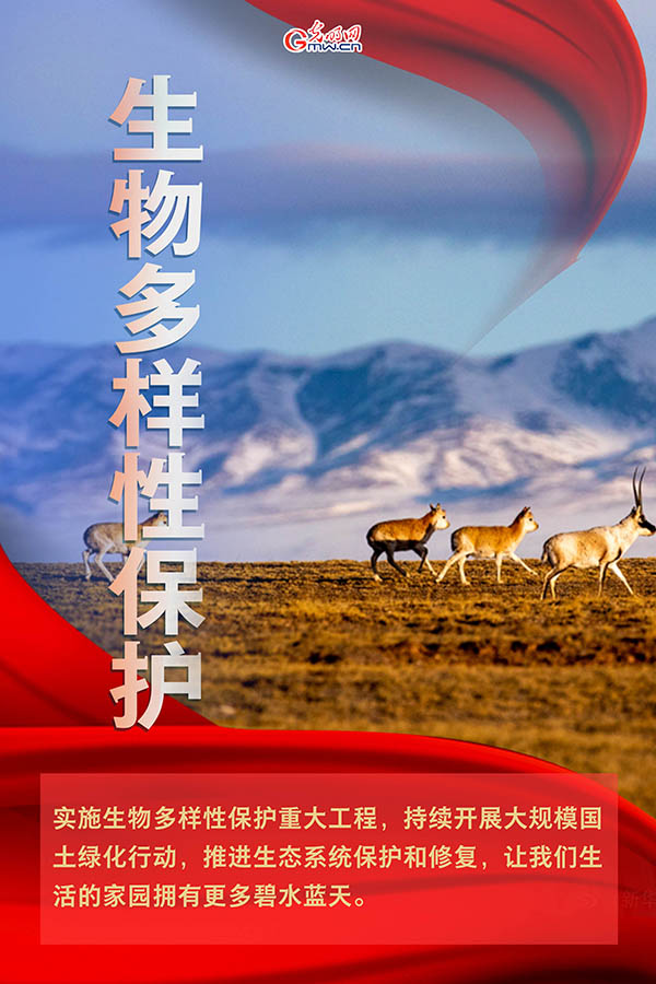 海報(bào)| 2021年政府工作報(bào)告，提到這些生態(tài)環(huán)保關(guān)鍵詞