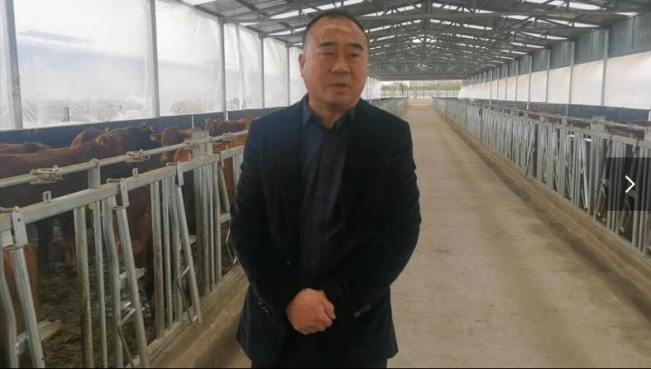 【脫貧攻堅我來見證】項祖地：讓“早勝?！逼放谱叱龈拭C  走向全國