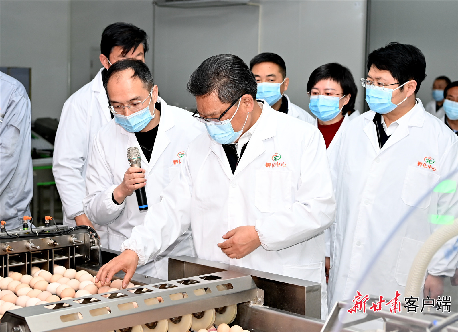 任振鶴在慶陽調(diào)研時強調(diào)：用新思想指引新征程，以新發(fā)展書寫新答卷，真抓實干推動新時代革命老區(qū)振興發(fā)展