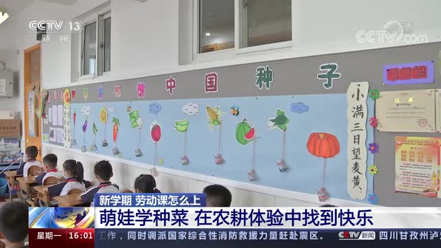 新學(xué)期，勞動課怎么上？央視《新聞直播間》關(guān)注北師大慶陽附校農(nóng)耕體驗課