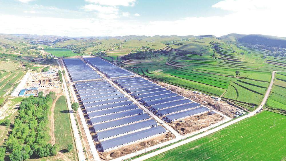 環(huán)縣雙廟20萬只肉羊育肥場俯瞰，