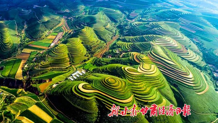 “羊”名立萬正當(dāng)時(shí)——環(huán)縣念羊經(jīng)、興羊業(yè)、發(fā)羊財(cái)促進(jìn)鄉(xiāng)村振興發(fā)展