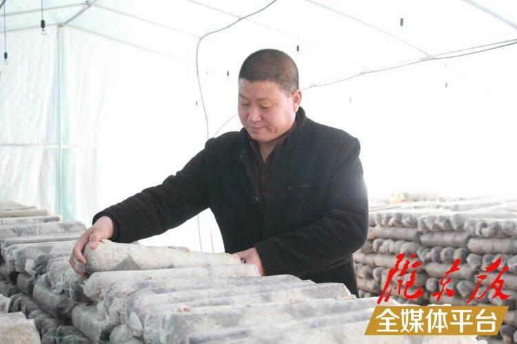 西峰區(qū)后官寨鎮(zhèn)司官寨村食用菌基地，工作人員在整理菌棒。本報(bào)記者 南力 攝
