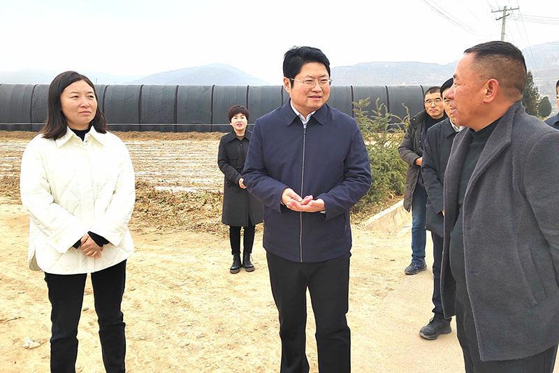 陳磊調(diào)研基層黨建、產(chǎn)業(yè)發(fā)展和項目建設工作