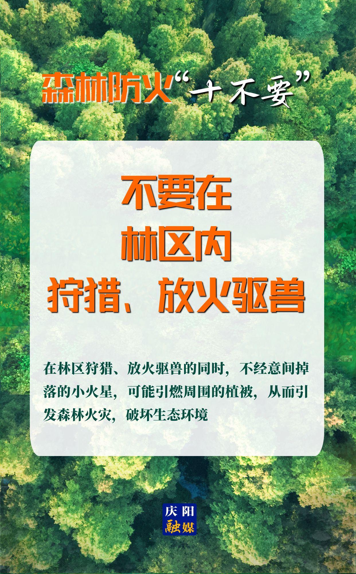 【微海報(bào)】森林防火“十不要”⑨丨不要在林區(qū)內(nèi)狩獵、放火驅(qū)獸