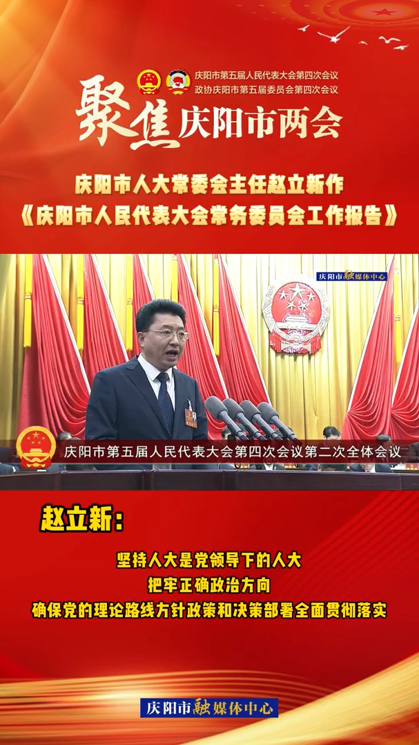 兩會V視(28)丨趙立新：堅持人大是黨領導下的人大，把牢正確政治方向，確保黨的理論路線方針政策和決策部署全面貫徹落實