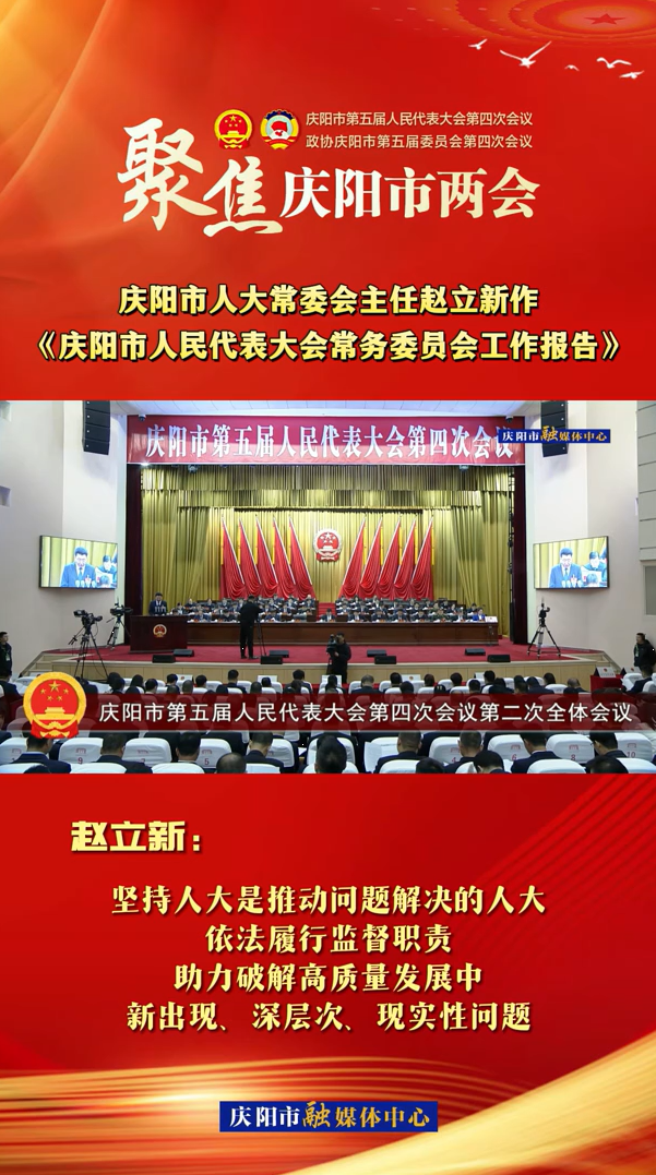 兩會V視(29)丨趙立新：堅持人大是推動問題解決的人大，依法履行監(jiān)督職責，助力破解高質量發(fā)展中新出現(xiàn)、深層次、現(xiàn)實性問題