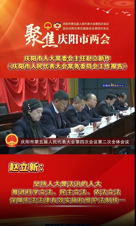 兩會V視(30)丨趙立新：堅持人大是法治的人大，推進科學立法、民主立法、依法立法，保障憲法法律有效實施和維護法制統(tǒng)一