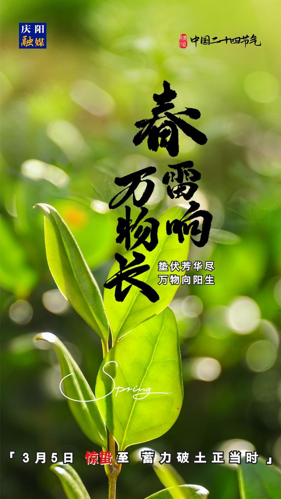 【微海報】二十四節(jié)氣丨驚蟄至，蓄力破土正當時