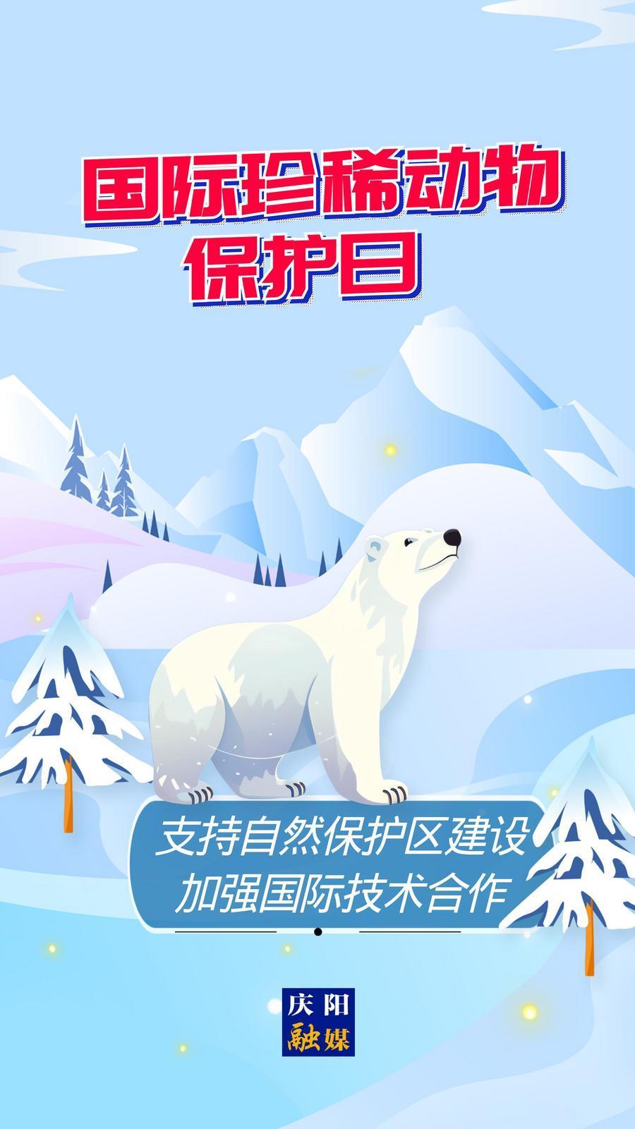 【微海報(bào)】國際珍稀動物保護(hù)日丨支持自然保護(hù)區(qū)建設(shè) 加強(qiáng)國際技術(shù)合作