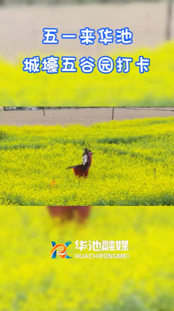 【五一游慶陽(yáng)】歡迎來(lái)華池城壕五谷園打卡??！