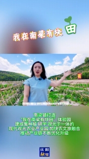 南梁鎮(zhèn)打造“我在南梁有塊田”體驗園，建成集種植、研學(xué)、觀光于一體的現(xiàn)代觀光農(nóng)業(yè)產(chǎn)業(yè)園，加快農(nóng)文旅融合，推動產(chǎn)業(yè)鏈不斷優(yōu)化升級